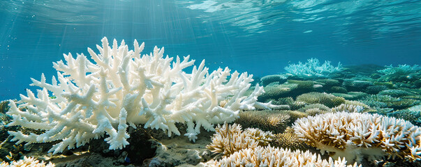 Vibrant underwater scene showcasing a healthy coral reef teeming with life beneath clear blue waters.