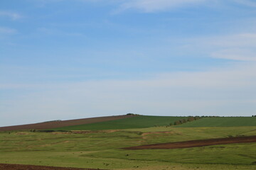 A field with a field of crops