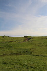 Fototapeta premium A field with grass and dirt