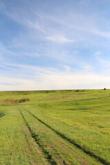 A field with grass and blue sky