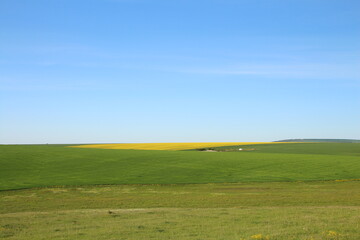 Obraz premium A field with a green field and blue sky