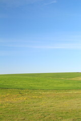 Obraz premium A field with grass and blue sky