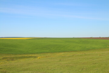 A large green field