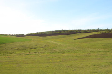 A large green field