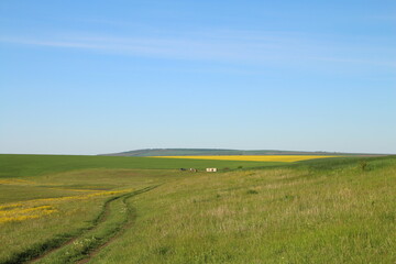 A field with a house in the distance