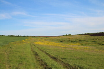 A dirt road through a field