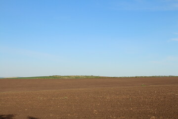 A field with a blue sky