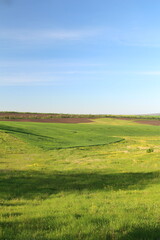 A green field with a dirt road