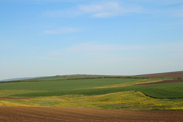 Obraz premium A green field with a few clouds