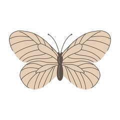 Hawthorn butterfly. Insect pest. View from above closeup. Problem in agriculture. Flat vector illustration isolated on white background