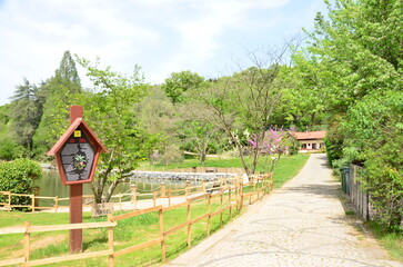 Fototapeta na wymiar house in the forest