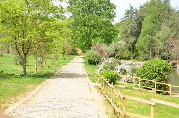 path in the park