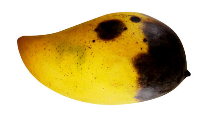 A rotten mango 