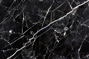 A contemporary background with a glossy black marble texture, highlighted by thin, intricate veins of silver for a luxurious feel.