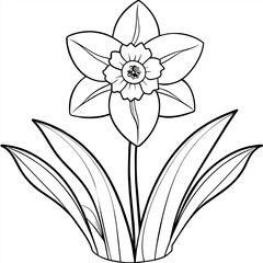 Obraz premium Daffodil flower plant outline illustration coloring book page design, Daffodil flower plant black and white line art drawing coloring book pages for children and adults