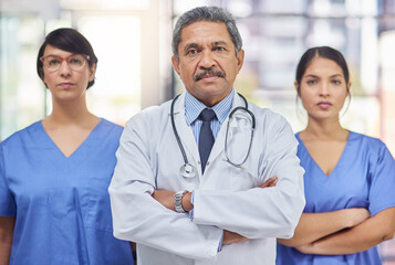 Portrait, group and medical team in hospital, doctors and leadership. Stethoscope, healthcare and lab coat for collaboration, teamwork and professional with arms crossed or nurse, clinic and people