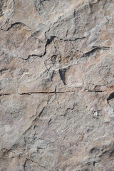 sfondo pietra dura con dettaglio al centro spaccato,   taglio, background, roccia con avvallamenti