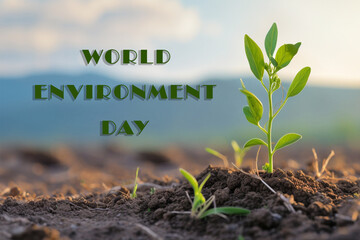 Young plant growing in field. World Environment day concept