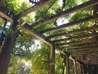 portugal, porto, turismo, verde, jardim, parque, ar livre, natureza, paz, calma, azul, árvores,...