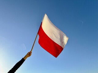 Polska flaga biało-czerwona powiewająca na wietrze na tle błękitnego nieba. Dzień Flagi,...