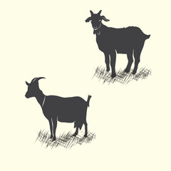 Hand drawn goat outline flat illustration vector design 