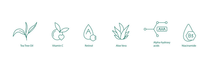 Obraz premium Tea Tree Oil, Vitamin C, Retinol, Aloe Vera, Alpha Hydroxy Acid, Niacinamide Vector Icons Set
