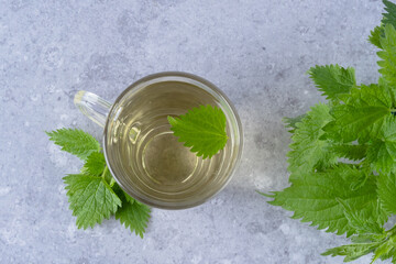 Herbal nettle tea and with fresh nettle leaves. Glass cup of nettle tea on a gray background....