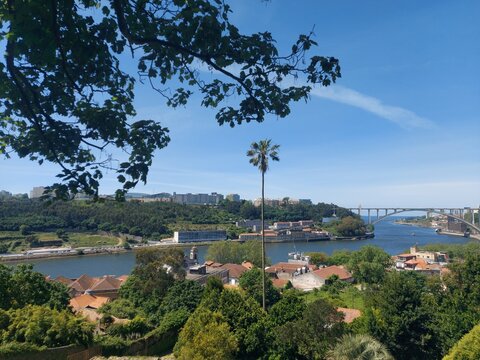 portugal, porto, turismo, verde, jardim, parque, ar livre, natureza, paz, calma, azul, &aacute;rvores, cidade, norte, europa, vistas, paisagem
