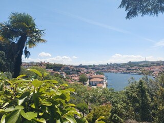 portugal, porto, turismo, verde, jardim, parque, ar livre, natureza, paz, calma, azul, árvores,...