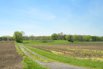 A gravel road leading to a barn in the distance surrounded by green grass and a freshly plowed field with a blue sky. landscape