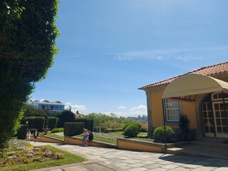 Obraz premium portugal, porto, turismo, verde, jardim, parque, ar livre, natureza, paz, calma, azul, árvores, cidade, norte, europa, vistas, paisagem