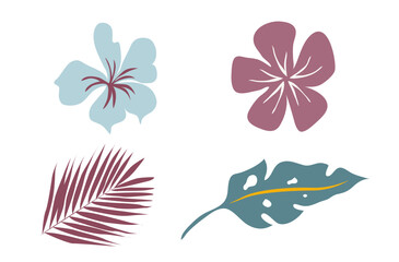 Simple tropical flowers and leaves .Vector, flat style, isolated on a white background
