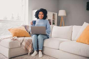 Fototapeta premium Full size photo of nice young woman drink coffee use netbook wear blue sweater modern interior apartment indoors