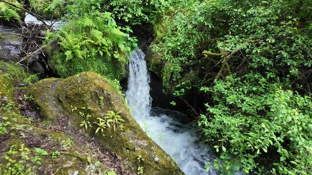 Scenic sight in the natural monument "Forre di Corchiano", near the village of Corchiano, in the Province of Viterbo, Lazio, Italy.