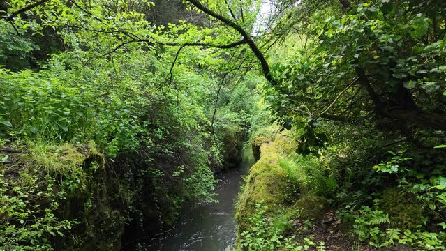 Scenic sight in the natural monument "Forre di Corchiano", near the village of Corchiano, in the Province of Viterbo, Lazio, Italy.