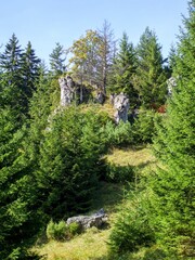 Obraz premium Big rocky mountain and forest in Rozsutec, Slovakia
