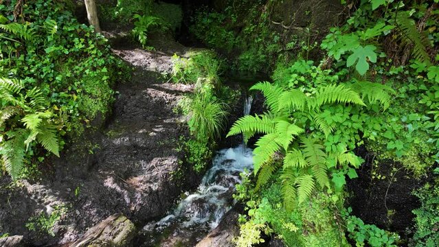 Scenic sight in the natural monument "Forre di Corchiano", near the village of Corchiano, in the Province of Viterbo, Lazio, Italy.
