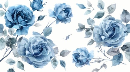 Beautiful blue roses on a clean white background, perfect for various design projects