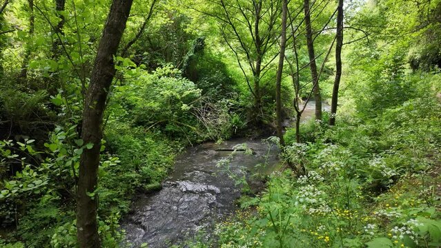 Scenic sight in the natural monument "Forre di Corchiano", near the village of Corchiano, in the Province of Viterbo, Lazio, Italy.