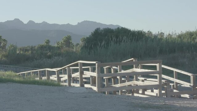 CAMINO