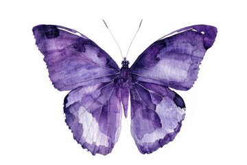 Vibrant watercolor painting of a purple butterfly. Perfect for nature enthusiasts