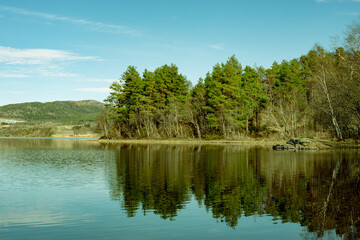 lake in the forest