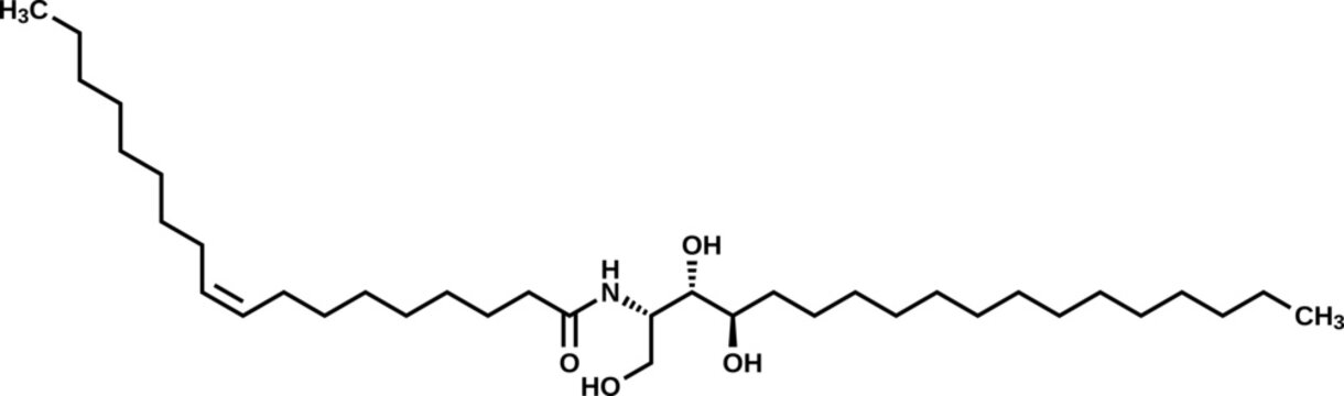 Ceramide NP structural formula, ceramide 3 vector illustration