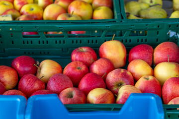 box of fresh apples for sale on a farm