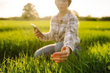 Young female farmer in green field with tablet. Modern digital technologies. Agronomist at the...