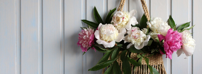 a bouquet of peonies in full bloom in a bag on a white wall. copy space.