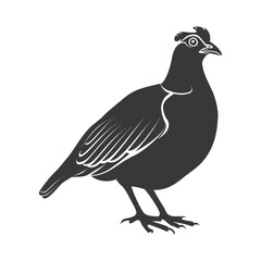 silhouette quail animal black color only full body