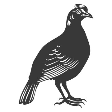 recommend clip art: silhouette quail animal black color only full body