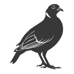 silhouette quail animal black color only full body
