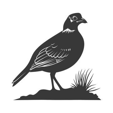 recommend clip art: silhouette quail animal black color only full body